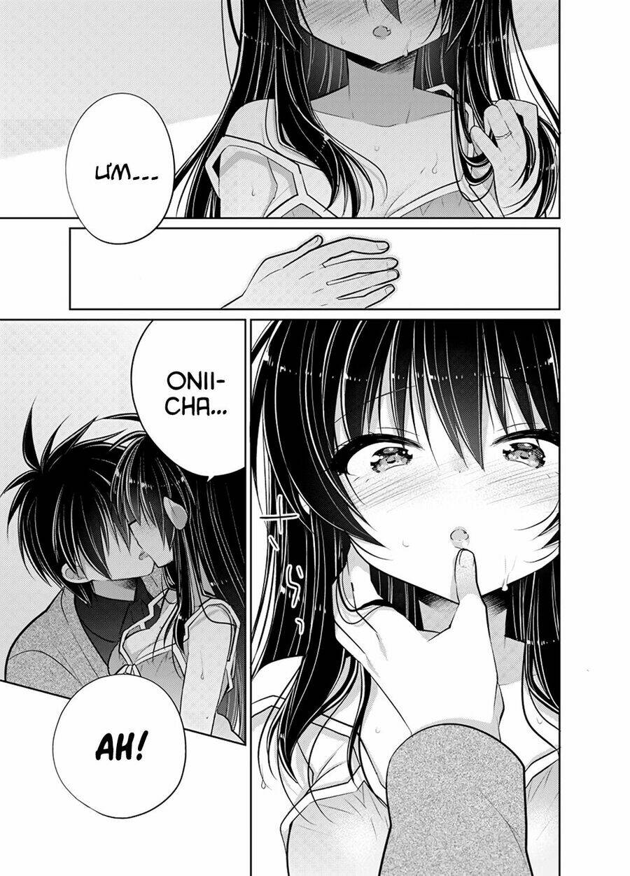 Siscon Ani To Brocon Imouto Ga Shoujiki Ni Nattara Chapter 49 - Trang 2